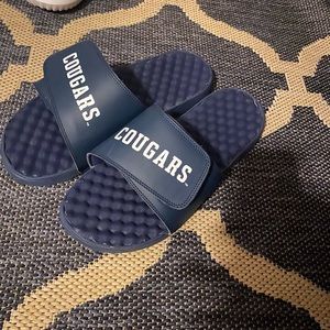 Cougars slides